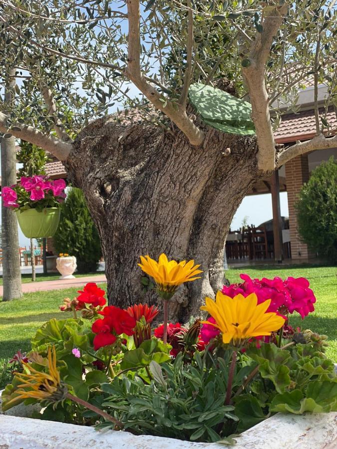Ardenica Boutique Hotel Lushnje Экстерьер фото